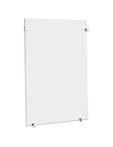 Delabie miroir de toilette rect 750x500