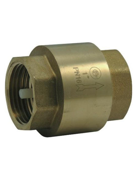 Clapet anti retour 1"1/2