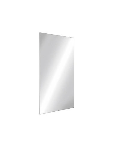 Delabie miroir incas 10x485x585 inox pol