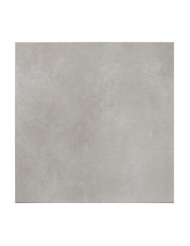 60X60 ZEUS GRIS 1CHX ARGENTA. Vendu au carton (1,44M2/carton)