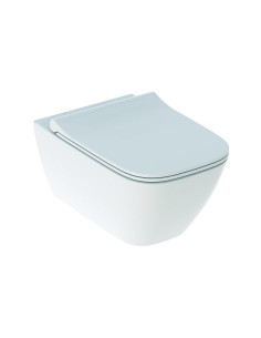 Cuvette Geberit Suspendu +Abattant